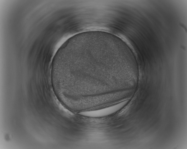 X0000100901102200807220946