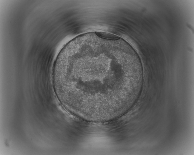 X0000100901104200807220946