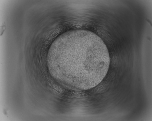 X0000100901105200807220945