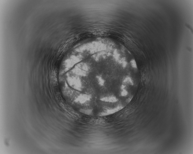 X0000100901106200807220945