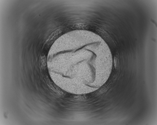 X0000100901107200807220945