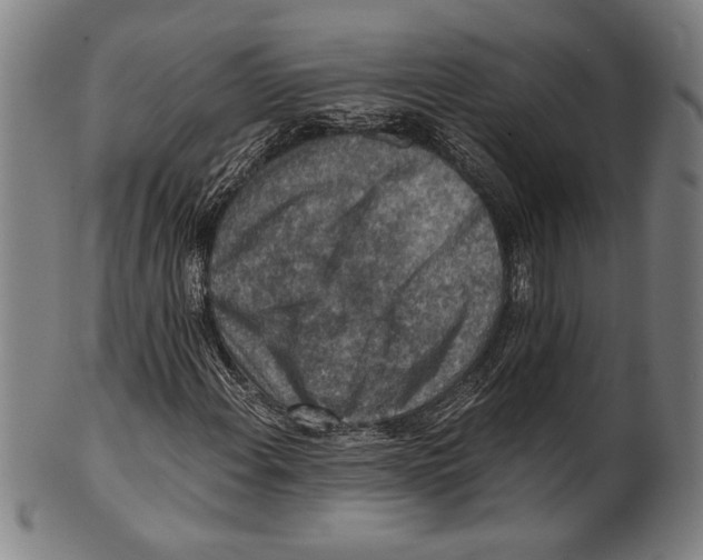 X0000100901108200807220945