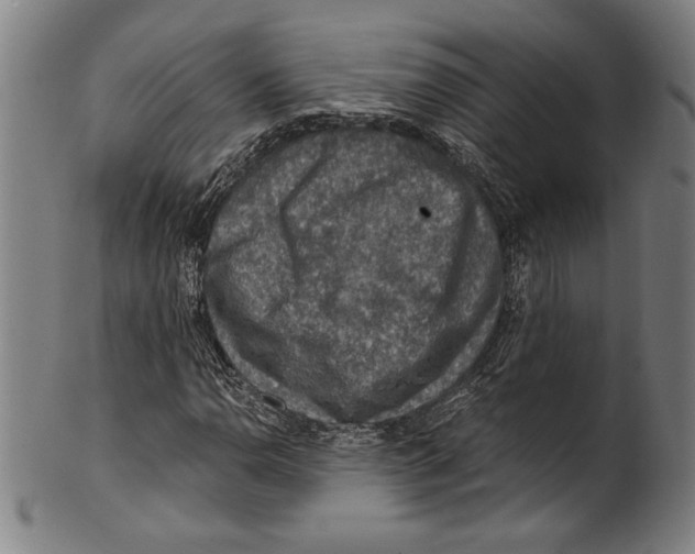 X0000100901110200807220945