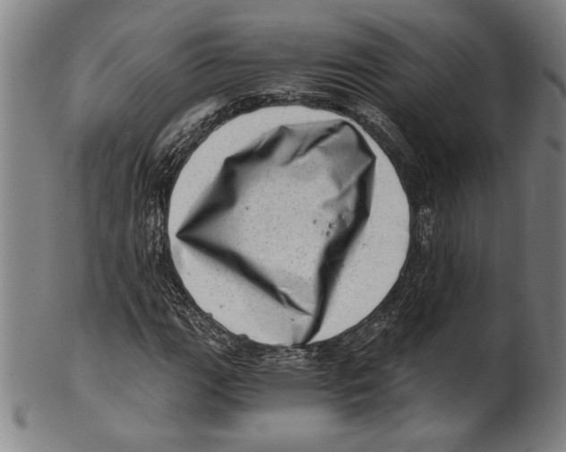 X0000100901111200807220945