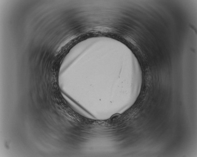 X0000100901112200807220945