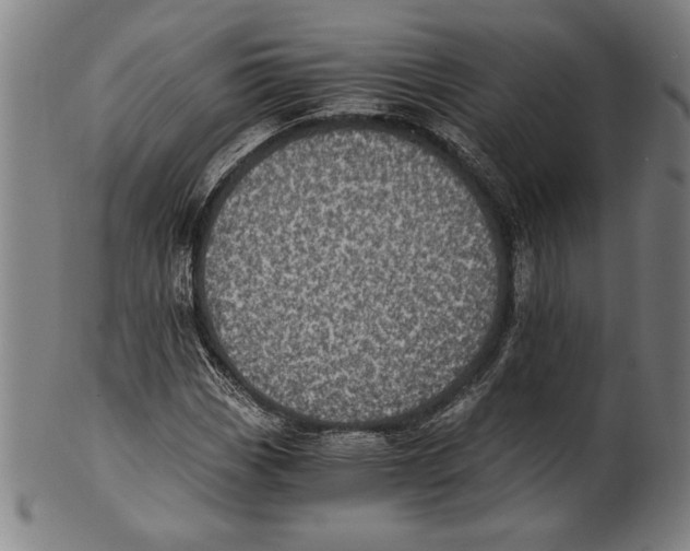 X0000100901113200807220945