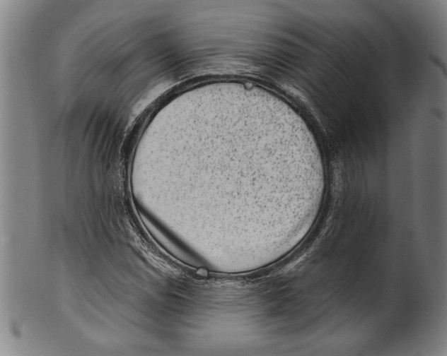 X0000100901114200807220945