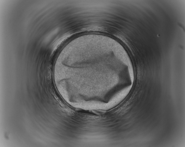 X0000100901115200807220945