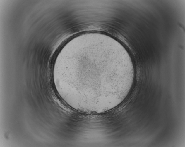 X0000100901116200807220945