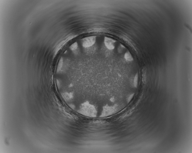 X0000100901117200807220945