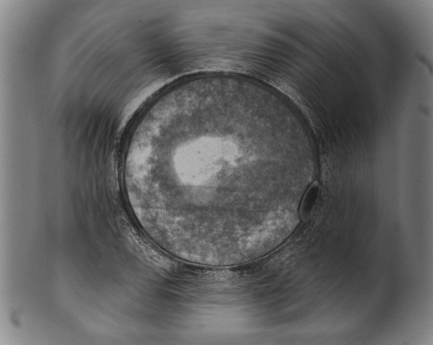 X0000100901120200807220945