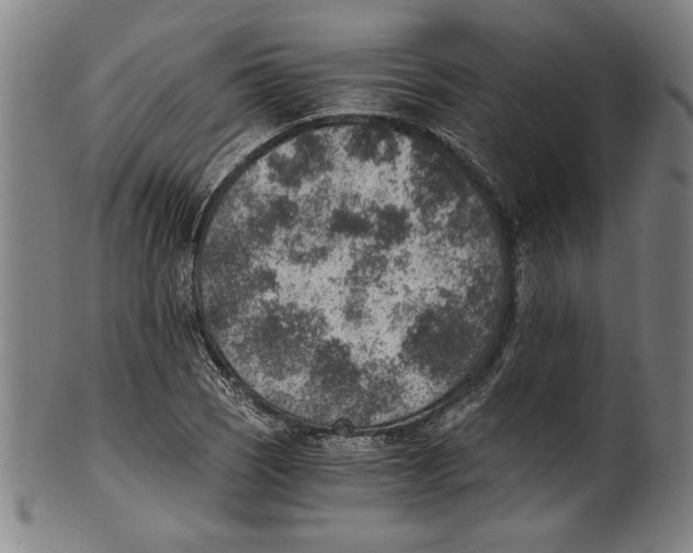 X0000100901121200807220945