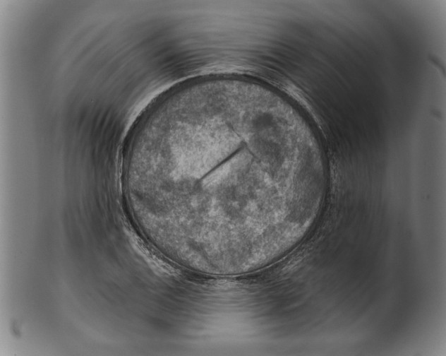 X0000100901124200807220945