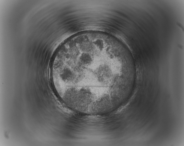 X0000100901125200807220945