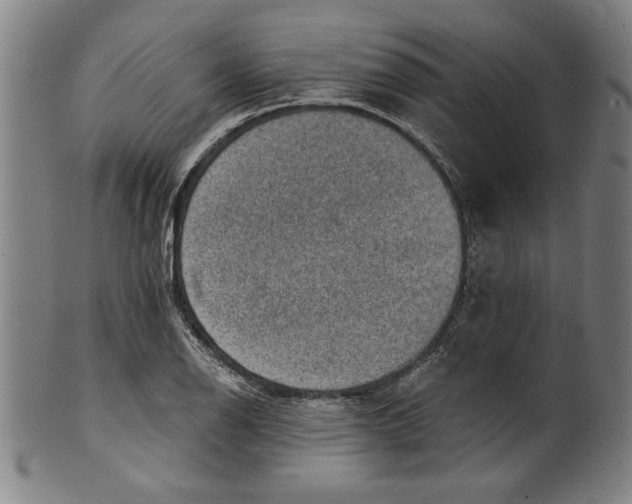 X0000100901126200807220945