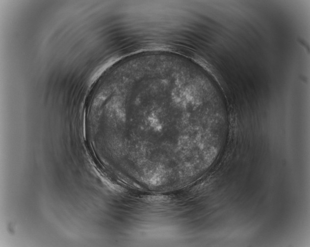 X0000100901127200807220945