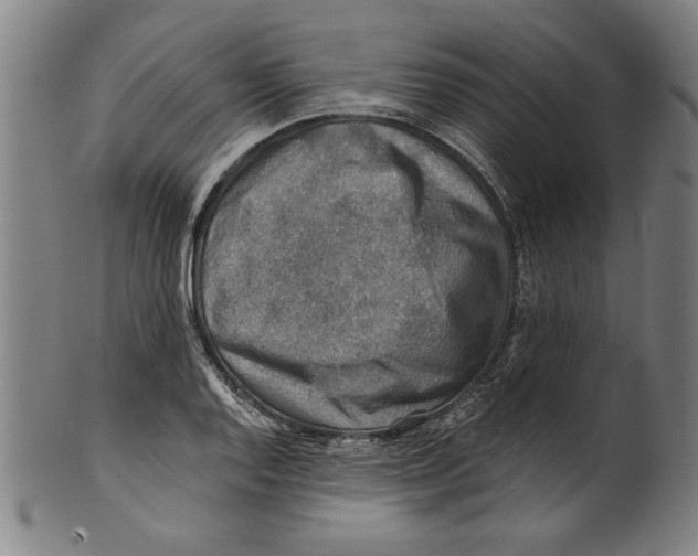 X0000100901128200807220945