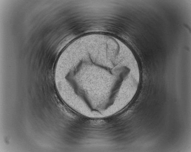 X0000100901129200807220945