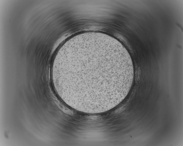 X0000100901130200807220945