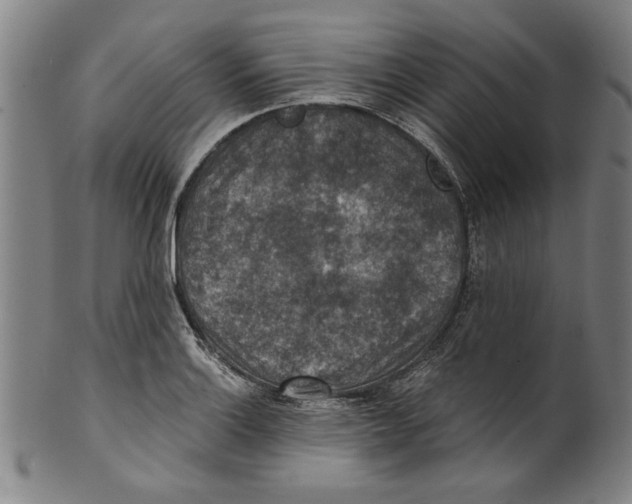 X0000100901132200807220945