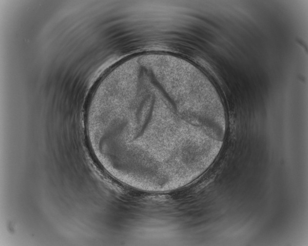 X0000100901133200807220945