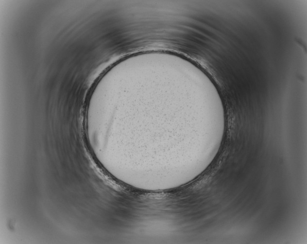 X0000100901134200807220945