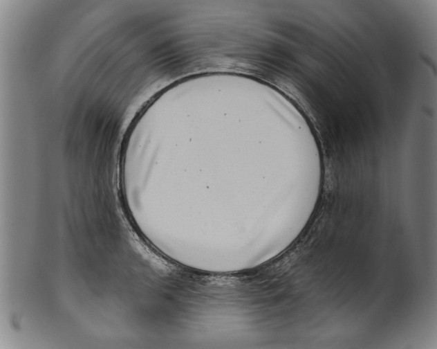 X0000100901136200807220945