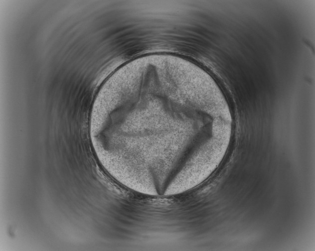 X0000100901137200807220945