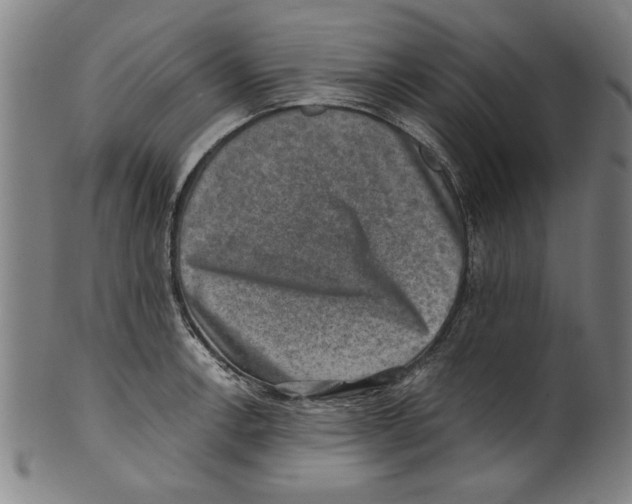 X0000100901138200807220945