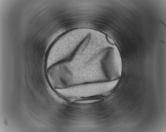 X0000100901139200807220945