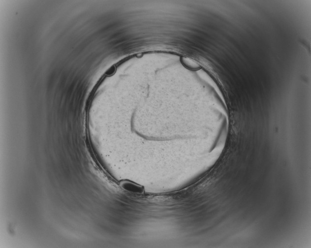 X0000100901140200807220945