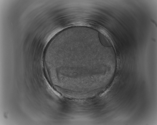 X0000100901141200807220945