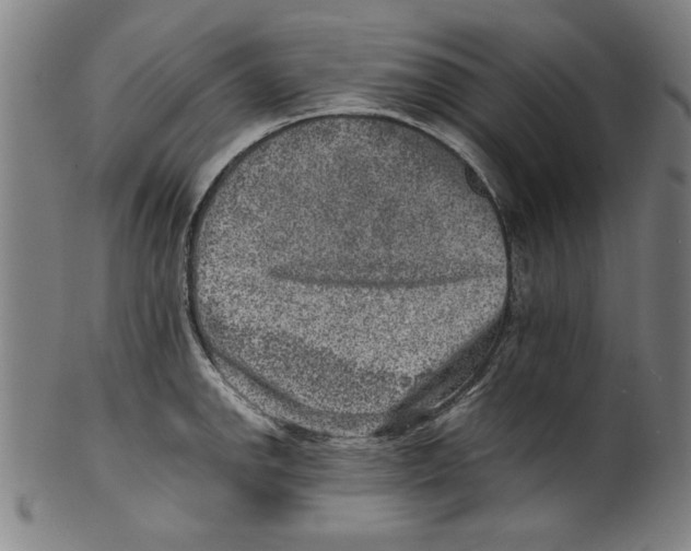 X0000100901142200807220945