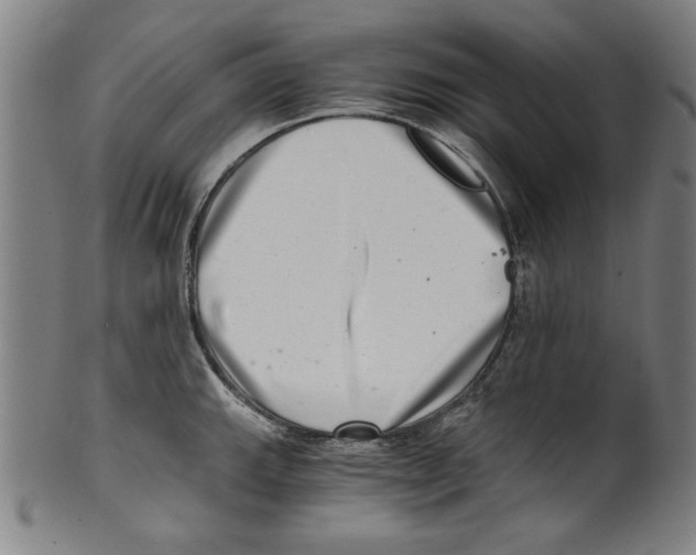 X0000100901143200807220945