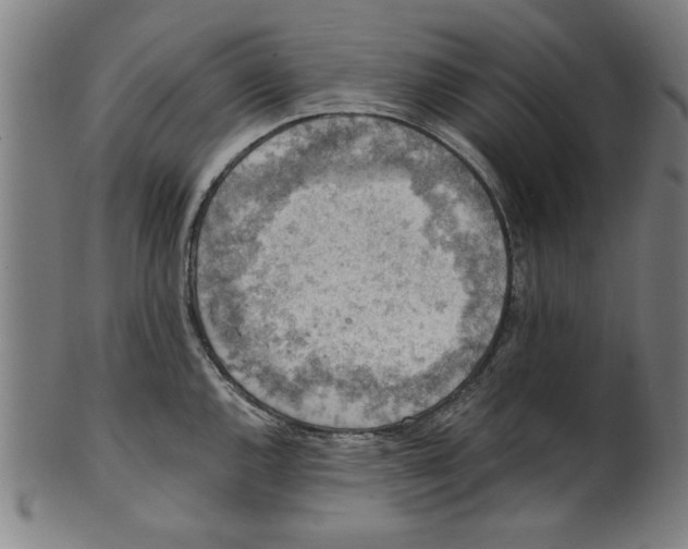 X0000100901144200807220945