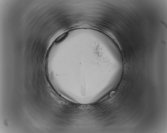 X0000100901146200807220945