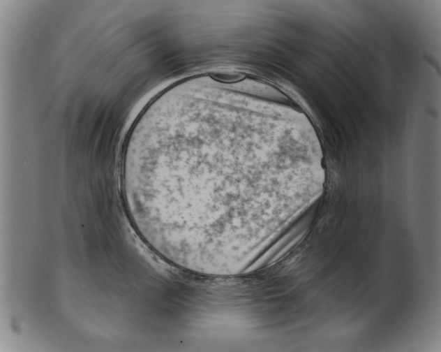 X0000100901148200807220945