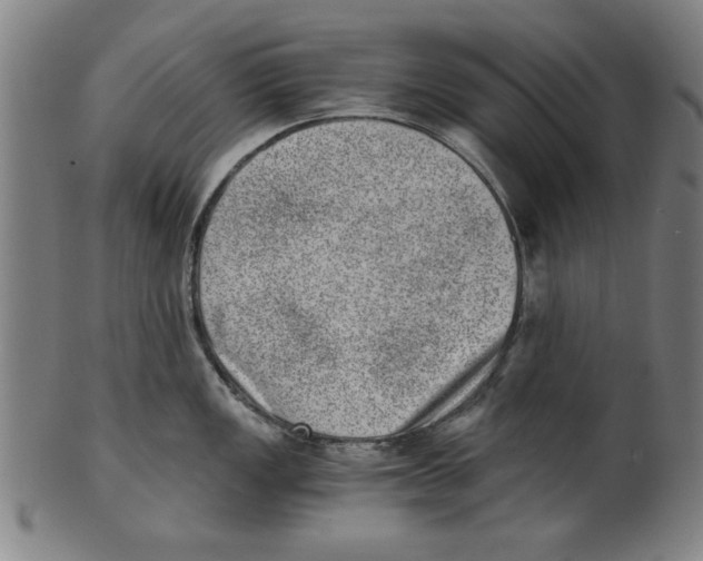 X0000100901149200807220945