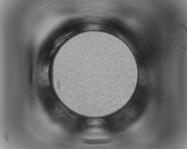 X0000100901150200807220946