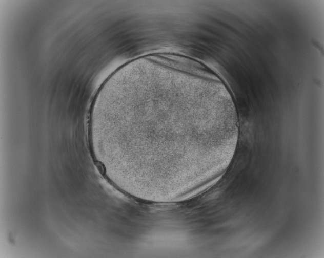 X0000100901151200807220946