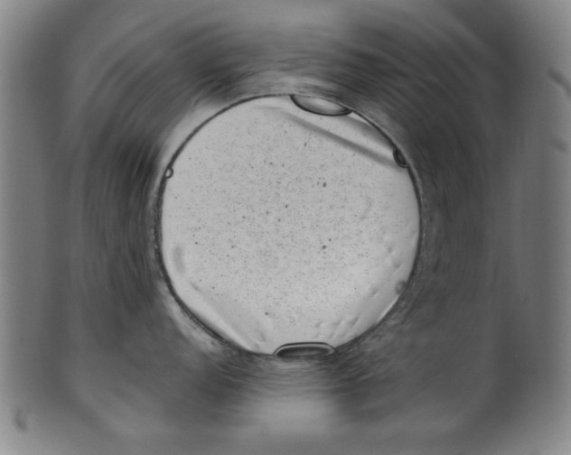 X0000100901152200807220946