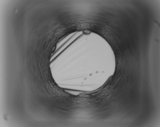 X0000100901153200807220945