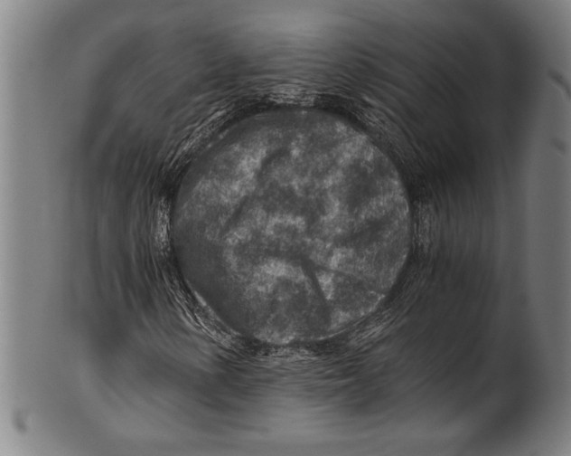 X0000100901154200807220945