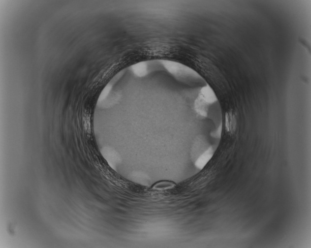 X0000100901155200807220945