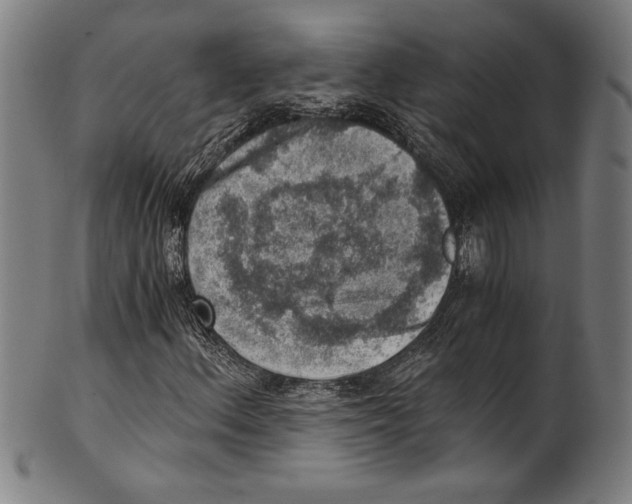 X0000100901156200807220945