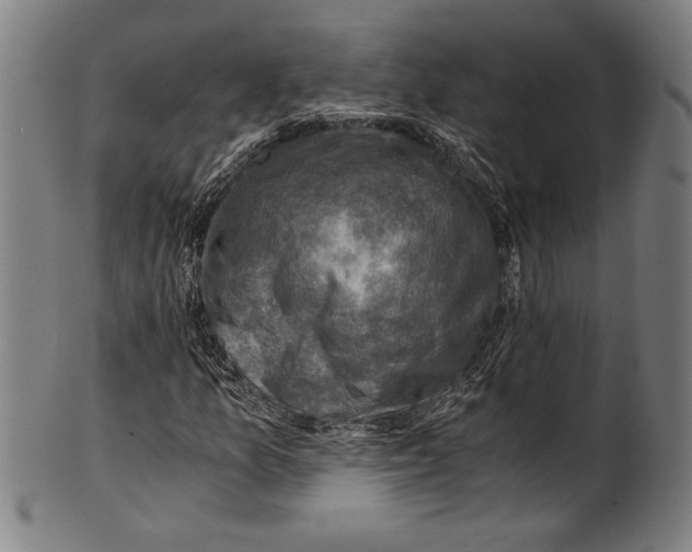 X0000100901157200807220945