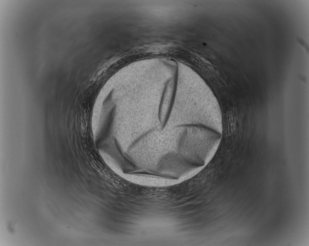 X0000100901158200807220945