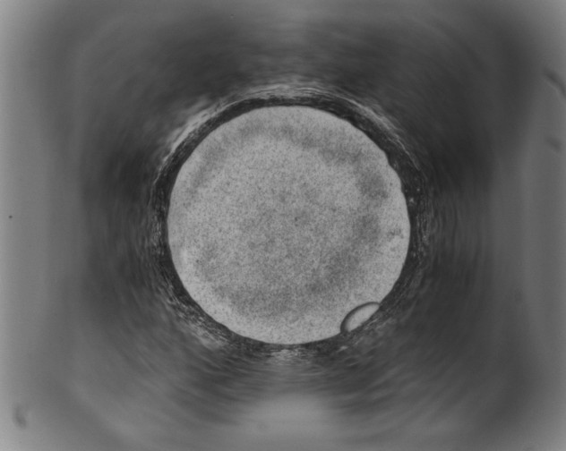 X0000100901160200807220945