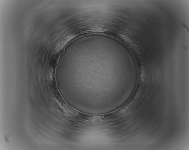 X0000100901161200807220945