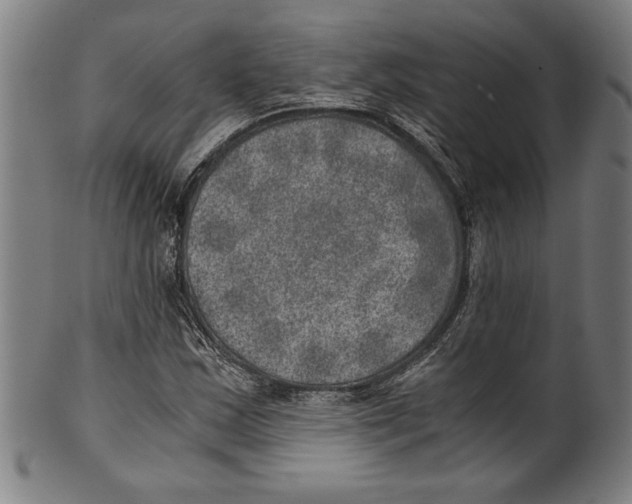 X0000100901163200807220945